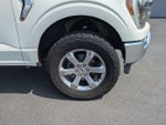 2023 F-150 Thumbnail 11