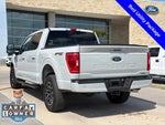 2023 F-150 Thumbnail 11