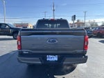 2023 F-150 Thumbnail 16