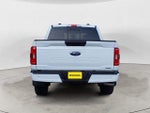 2023 F-150 Thumbnail 6