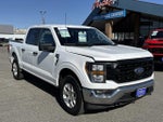 2023 F-150 Thumbnail 5