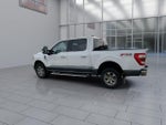 2023 F-150 Thumbnail 6
