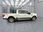2023 F-150 Thumbnail 9