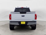 2023 F-150 Thumbnail 6