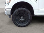 2023 F-150 Thumbnail 9