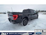 2023 F-150 Thumbnail 10