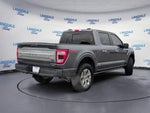2023 F-150 Thumbnail 4