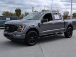 2023 F-150 Thumbnail 4