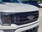 2023 F-150 Thumbnail 7