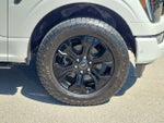 2023 F-150 Thumbnail 8