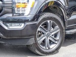 2023 F-150 Thumbnail 4