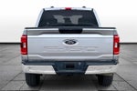 2023 F-150 Thumbnail 4