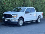 2023 F-150 Thumbnail 3