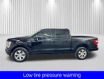 2023 F-150 Thumbnail 11