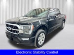 2023 F-150 Thumbnail 14