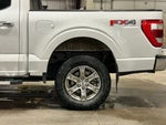 2023 F-150 Thumbnail 13
