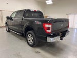 2023 F-150 Thumbnail 6