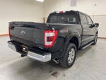 2023 F-150 Thumbnail 8