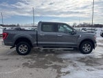 2023 F-150 Thumbnail 4