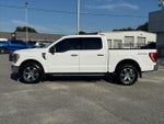 2023 F-150 Thumbnail 6