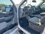 2023 F-150 Thumbnail 14