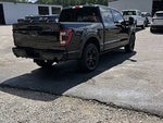 2023 F-150 Thumbnail 7