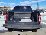 2023 F-150 Thumbnail 14