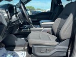 2023 F-150 Thumbnail 11