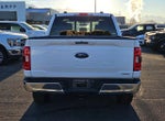 2023 F-150 Thumbnail 4