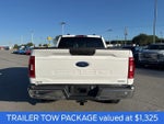 2023 F-150 Thumbnail 5