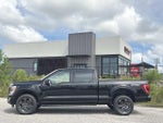 2023 F-150 Thumbnail 7