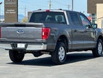 2023 F-150 Thumbnail 4