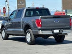 2023 F-150 Thumbnail 6