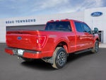 2023 F-150 Thumbnail 4