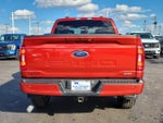 2023 F-150 Thumbnail 5