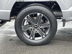 2023 F-150 Thumbnail 7