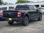2023 F-150 Thumbnail 8