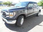 2023 F-150 Thumbnail 4