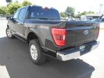 2023 F-150 Thumbnail 11
