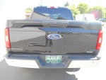 2023 F-150 Thumbnail 12
