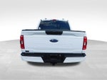 2023 F-150 Thumbnail 4