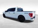 2023 F-150 Thumbnail 11