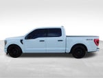 2023 F-150 Thumbnail 12