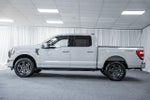 2023 F-150 Thumbnail 5