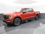 2023 F-150 Thumbnail 2