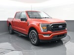 2023 F-150 Thumbnail 3