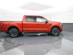 2023 F-150 Thumbnail 4