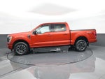 2023 F-150 Thumbnail 5
