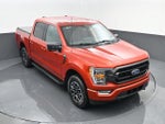 2023 F-150 Thumbnail 19
