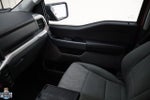2023 F-150 Thumbnail 18